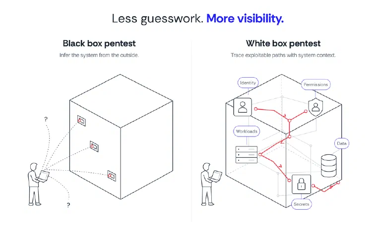 What is a white box penetration test?